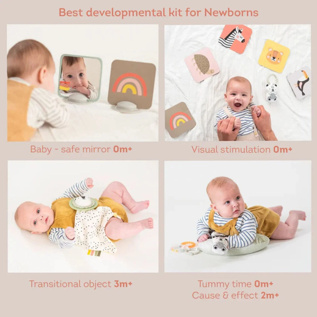 Taf Toys Newborn Play & Develop Kit