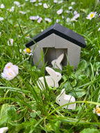 Little Garden Designer