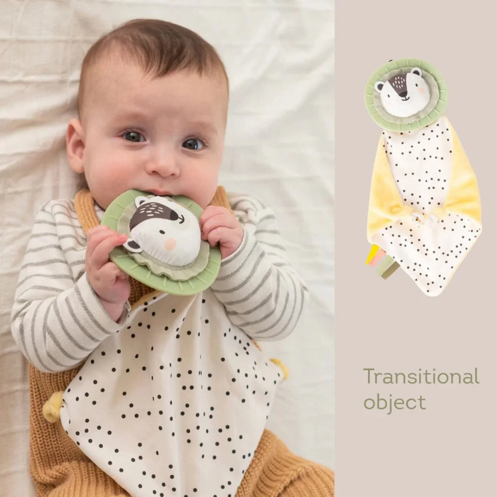 Taf Toys Newborn Play & Develop Kit