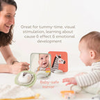 Taf Toys Newborn Play & Develop Kit