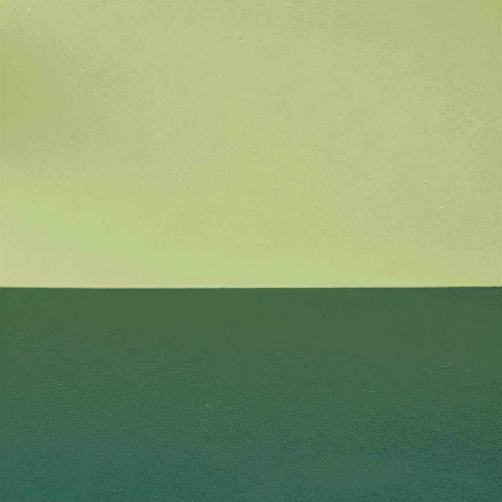 13 Farmyard Animals Shelf Set