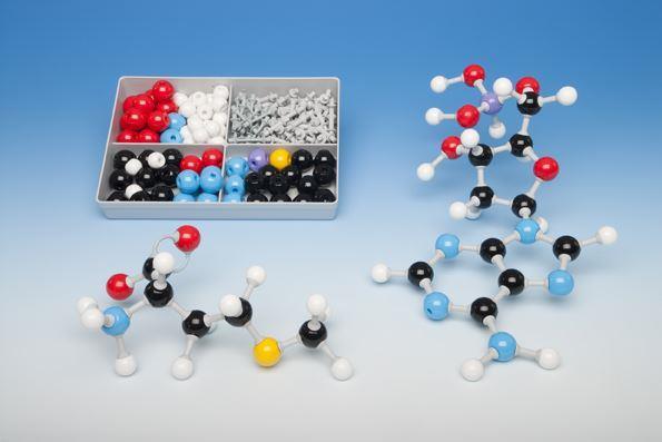 Molymod Biochemistry Student Molecular Model Set